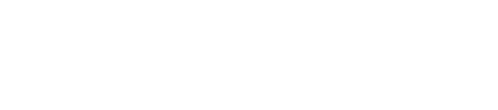 ES Financiado por la UE WHITE